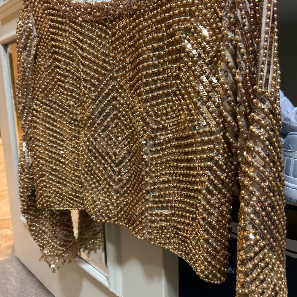 Hand Embroidered Beige Chiffon Saree / Sari with heavy sequence work - Picture 8 of 11